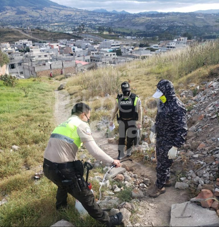 Bebé abandonado fue devorado por animales