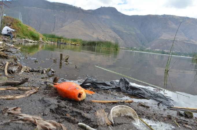 Declararán a laguna de Yahuarcocha en emergencia