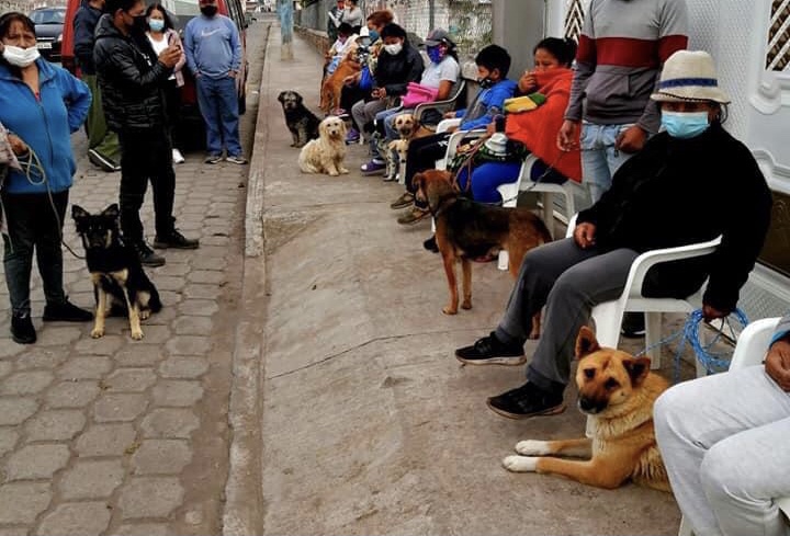 Esterilización y adopción de mascotas se promueve en Antonio Ante