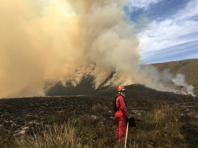 Inicia campaña de incendios forestales en Antonio Ante