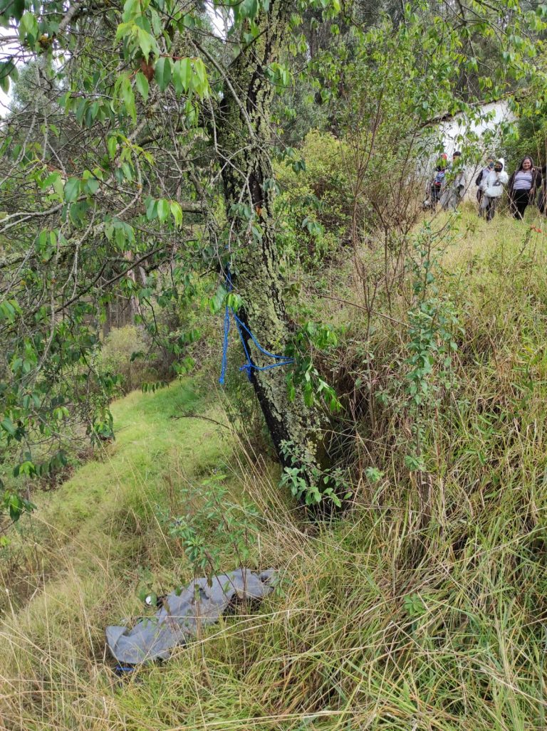 Joven se quitó la vida colgándose de un árbol