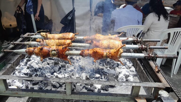 ESTE DOMINGO FERIA DEL CUY CHALTURA 2025