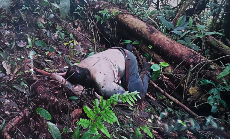EN RASTRILLAJE EN ALTO PUNINO ENCUENTRAN LOS CUERPOS DE DOS GUERRILLEROS Y PERTRECHOS DEL GRUPO COMANDO DE FRONTERA