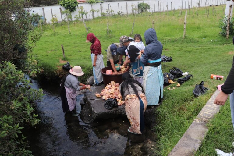 CRISIS AMBIENTAL EN EL LAGO SAN PABLO