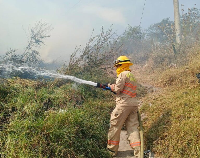 PREVENCIÓN Y CONCIENCIA REDUCEN DRÁSTICAMENTE INCENDIOS FORESTALES EN IBARRA