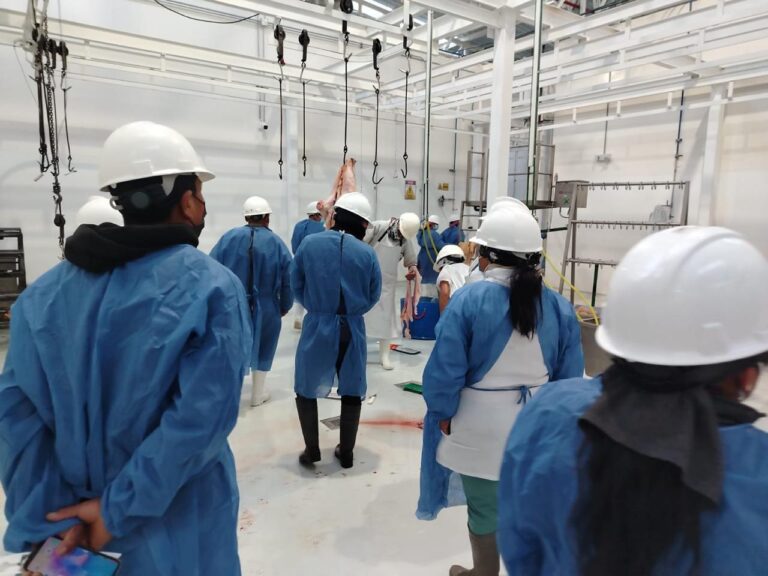 ANGOCHAGUA FORTALECE LA PRODUCCIÓN OVINA CON INTERCAMBIO DE EXPERIENCIAS