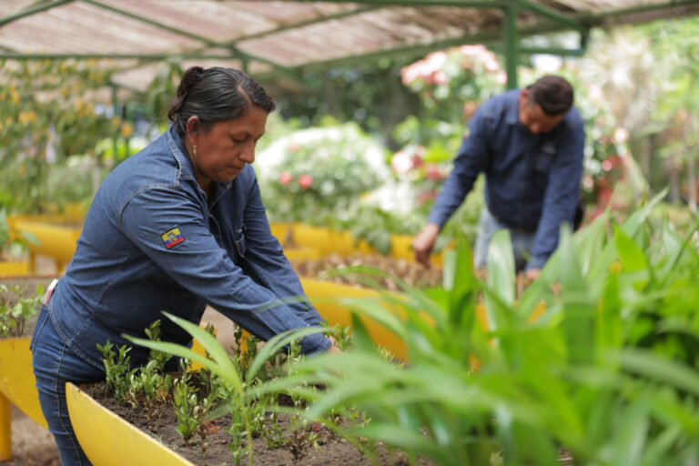 DURANTE EL GOBIERNO DE DANIEL NOBOA SE HA RECUPERADO MÁS DE 15 000 BARRILES DE CRUDO MEDIANTE EL PROGRAMA AMAZONÍA VIVA